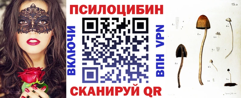 Галлюциногенные грибы Psilocybe  цена   Камбарка 